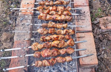 Domuz Kebap ızgara yemek. Bir ızgara kebaplar