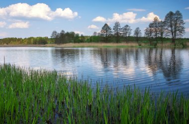Güzel bahar manzara nehir, ağaçlar ve mavi gökyüzü ile. Natur bileşimi