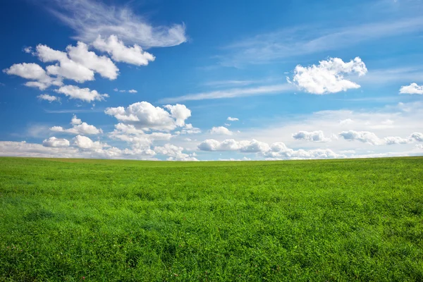 Beautiful green field and blue cloudy sky. — Stock Photo, Image