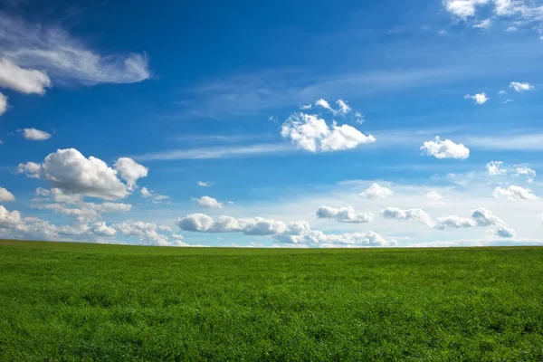Beautiful green field and blue cloudy sky. — Stock Photo, Image