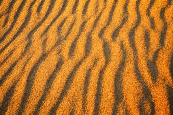 沙漠砂背景。在夕阳的金色沙漠 — 图库照片
