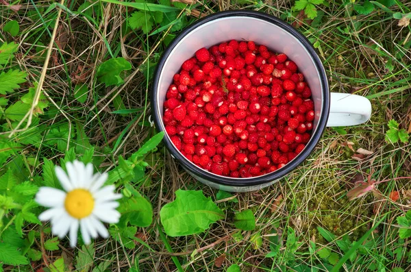 Fresas silvestres frescas en una taza y flor . —  Fotos de Stock