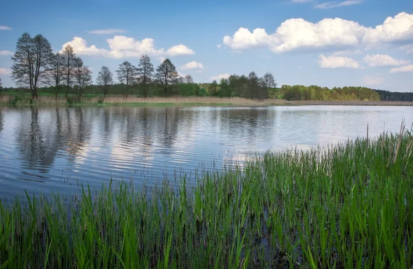 Güzel bahar manzara nehir, ağaçlar ve mavi gökyüzü ile. 