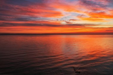 Güzel yaz manzarası. Manzaralı gün batımı. Doğanın bileşimi