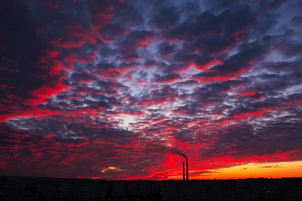 Colorful Magic Sunset. Roofs of city houses during sunrise. Birds flying in the sky. Dark smoke coming from the thermal power plant pipe.