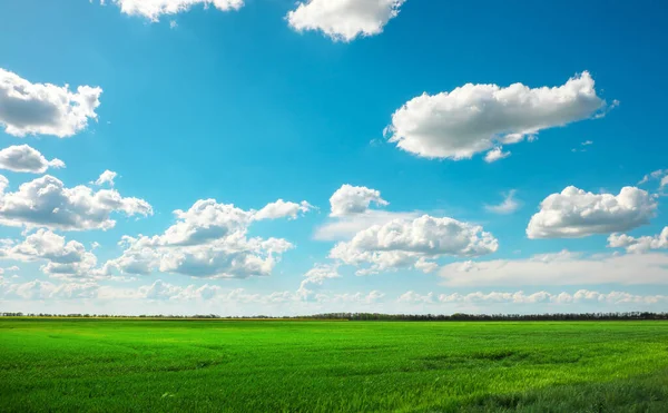 Green Field Blue Sky White Clouds — Stock Photo, Image