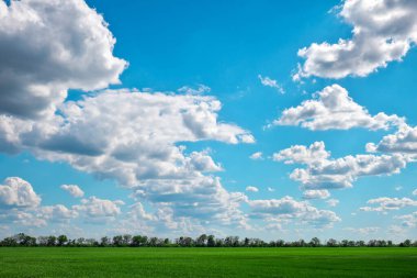 Yeşil tarla ve beyaz bulutlu mavi gökyüzü
