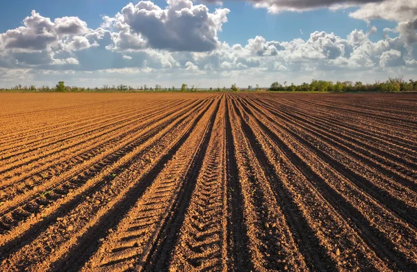 Preparação Campo Para Plantio Solo Arborizado Primavera Com Céu Azul — Fotografia de Stock