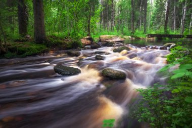 Orman ırmağı deresi suyu akar. Tahta köprüsü, taşları ve bulutlu havada akan suyu olan güzel bir yaz manzarası.