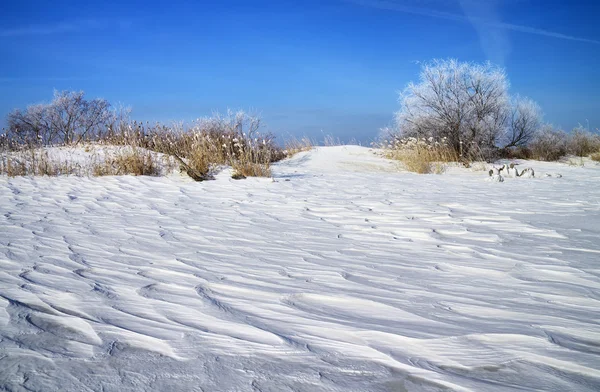 Sazlık, ağaçlar ve donmuş nehir kış manzarası — Stok fotoğraf