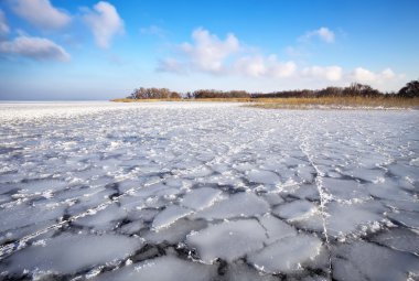 ağaçlar, sazlık ve donmuş nehir kış manzarası 