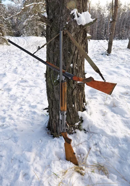 Jagdgewehre im Winterwald. Winterjagd. — Stockfoto