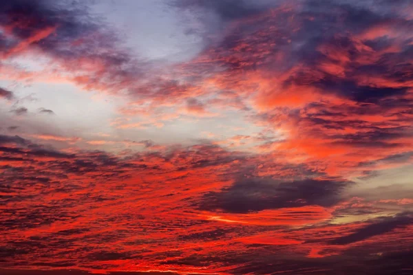 Céu colorido bonito do por do sol. Céu fundo com cores vermelhas — Fotografia de Stock