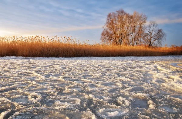 Paesaggio invernale con fiume ghiacciato, albero, canne e cielo al tramonto — Foto Stock