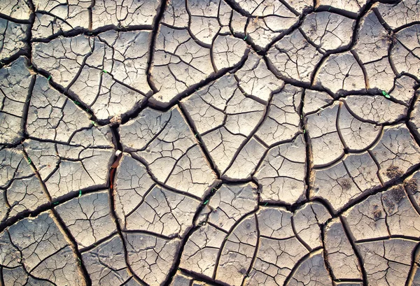 地面、乾燥した夏のシーズンにひびの入った粘土 — ストック写真