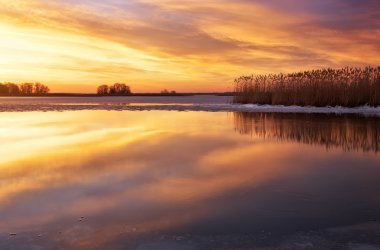 kış manzara nehir, sazlık ve günbatımı gökyüzü ile.