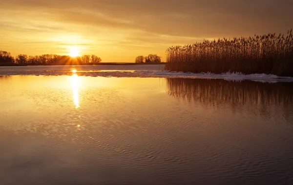 Paisagem de inverno com rio, juncos e céu por do sol. Bela vitória — Fotografia de Stock