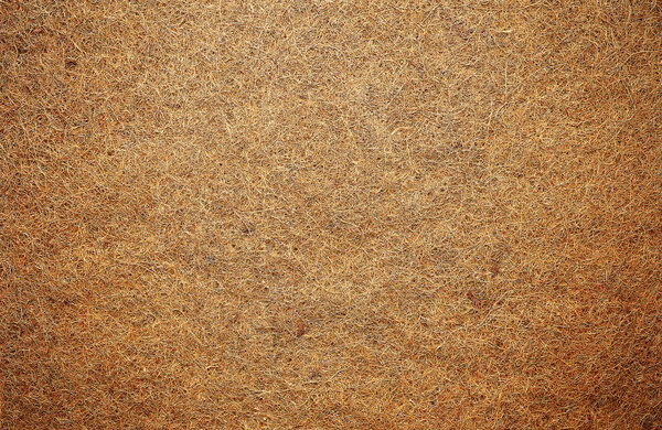 Матрас для ребенка из кокосового волокна. История кокоса
