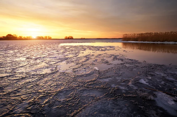 Kış manzara nehir, sazlık ve günbatımı gökyüzü ile. Güzel kazanmak — Stok fotoğraf