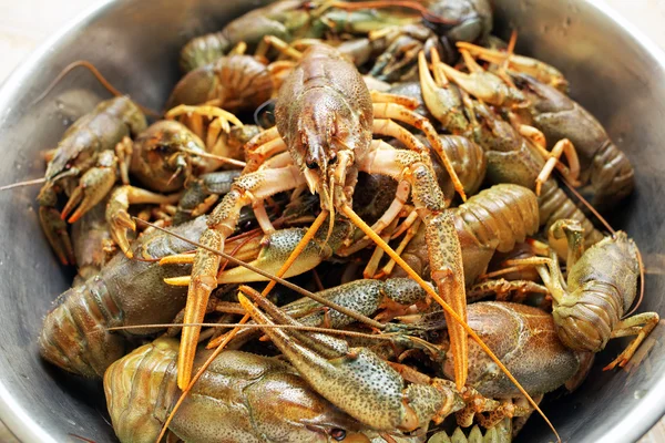 Live crawfishes in a metal bowl before cooking — Stock Photo, Image