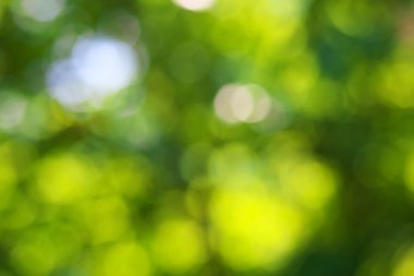 Bokeh geçmişi. Tasarım elementi.