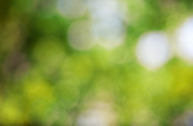 Bokeh geçmişi. Tasarım elementi