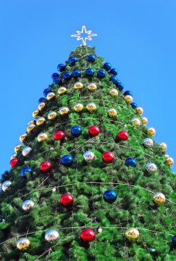 Süslü Noel ağacı. Noel ağacı mavi gökyüzü karşı 