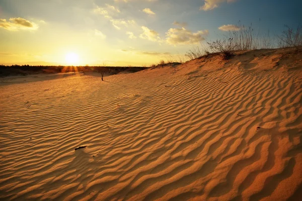 Paisagem bonita com céu por do sol e areia ondulada . — Fotografia de Stock