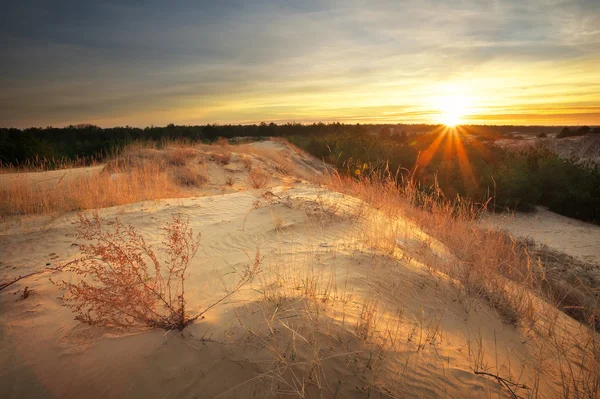 Paisagem bonita com céu por do sol. Composição da natureza — Fotografia de Stock