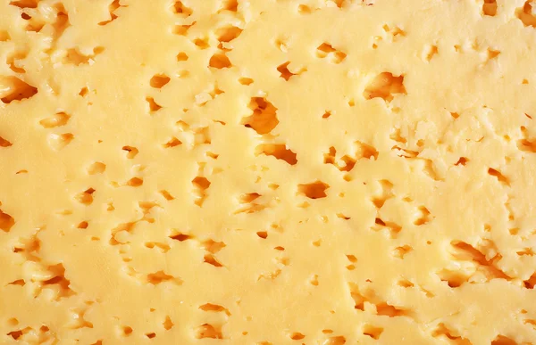 The texture of sour cheese slice close up. Texture slice of chees — Stock Photo, Image