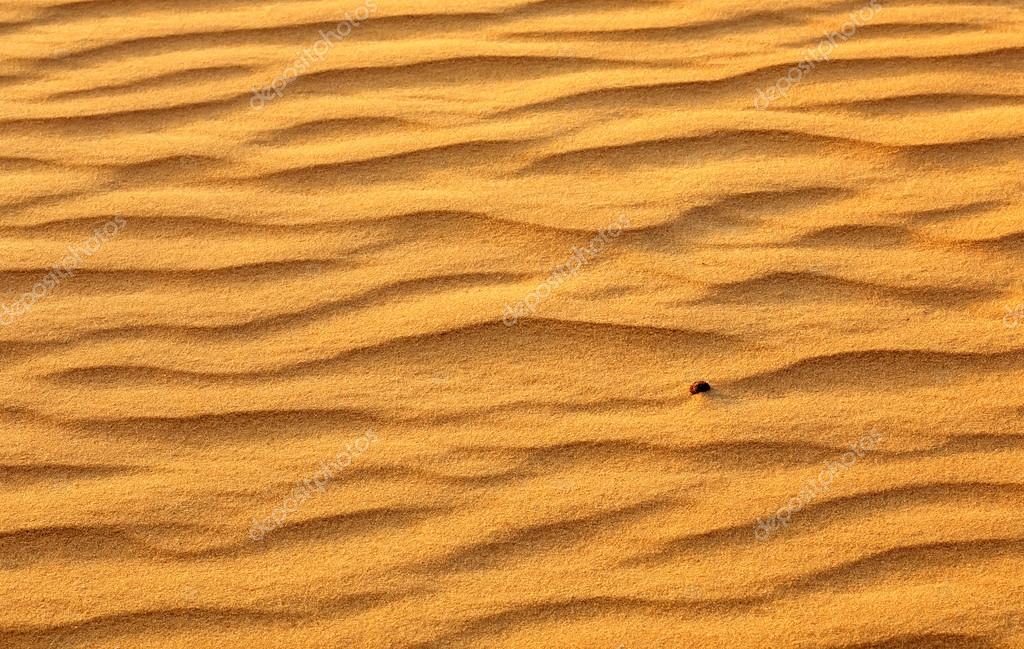 Desert Sand Background Gold Desert Into The Sunset Stock Photo Image By C Es0lex