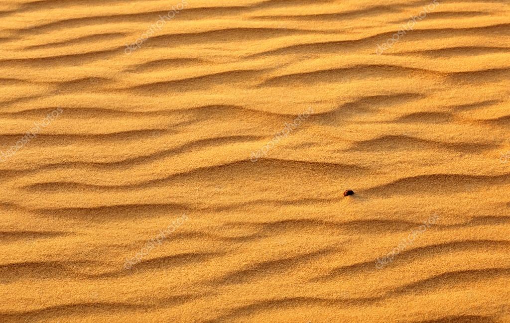 Desert Sand Background Gold Desert Into The Sunset Stock Photo Image By C Es0lex Desert Sand Background Gold Desert Into The Sunset Stock Photo Image By C Es0lex