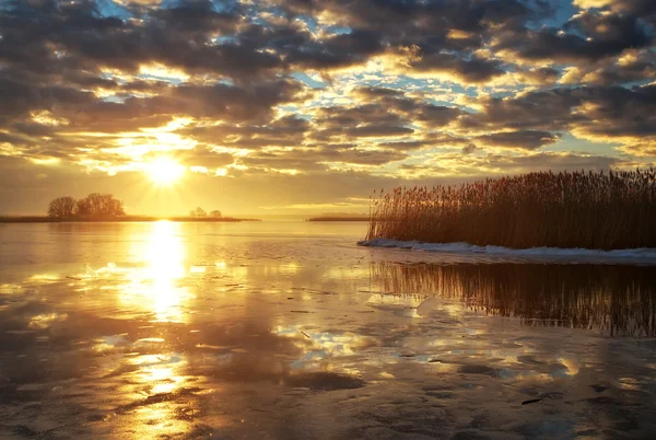 Pemandangan musim dingin dengan sungai, alang-alang dan matahari terbenam langit . — Stok Foto