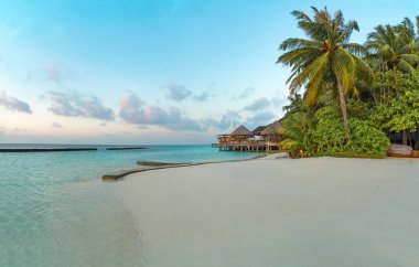 Tropikal Maldivler adasının inanılmaz geniş manzarası. Güzel gündoğumunda mavi göl, turkuaz su ve palmiye ağaçlarıyla egzotik plaj arka planı. Tatil, tatil ve romantik balayı gezisi.
