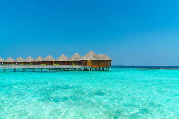 马尔代夫的天堂风景 海景与水平房 美丽的绿松石海和泻湖水 热带自然 异国热带岛屿背景 免版税图库照片