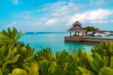 Maldivler sahilinin panoramik manzarası ve ufukta sürat tekneleri ve yatları olan bir rıhtım. Deniz manzaralı bungalovlar, güzel turkuaz deniz ve lagün suları, tropikal doğa cenneti. 