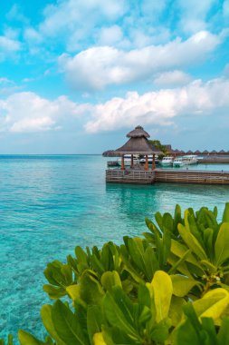 Maldivler sahilinin panoramik manzarası ve ufukta sürat tekneleri ve yatları olan bir rıhtım. Deniz manzaralı bungalovlar, güzel turkuaz deniz ve lagün suları, tropikal doğa cenneti. 