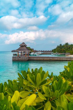 Maldivler sahilinin panoramik manzarası ve ufukta sürat tekneleri ve yatları olan bir rıhtım. Deniz manzaralı bungalovlar, güzel turkuaz deniz ve lagün suları, tropikal doğa cenneti. 