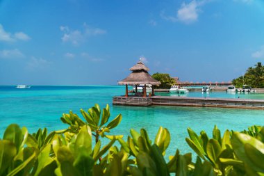 Maldivler sahilinin manzarası ve ufukta sürat tekneleri ve yatı olan rıhtım. Su bungalovunun çatısında oturan güzel gri balıkçıl. Güzel turkuaz deniz ve gölü olan deniz burnu..