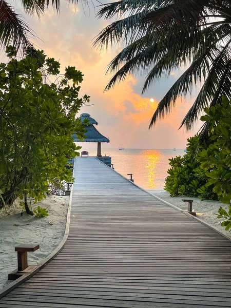 Панорамный Пейзаж Мальдивского Пляжа Причала Скоростными Катерами Яхтами Горизонте Морской — стоковое фото