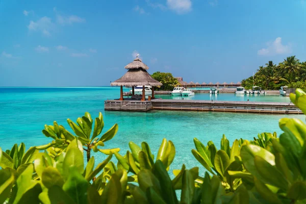 Maldivler sahilinin panoramik manzarası ve ufukta sürat tekneleri ve yatları olan bir rıhtım. Deniz manzaralı bungalovlar, güzel turkuaz deniz ve lagün suları, tropikal doğa cenneti. 