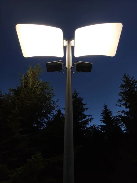 Led lighting in the Park, night light, modern style, night lighting