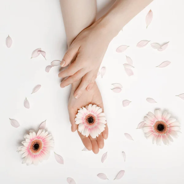 Mooie goed verzorgde vrouwenhanden met een witte bloem op tafel, anti-aging en anti-rimpel cosmetica voor handen. De verzorging van de handen, hydraterende huid en Spa — Stockfoto