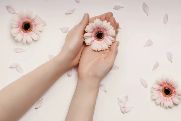 Mooie goed verzorgde vrouwenhanden met een witte bloem op tafel, anti-aging en anti-rimpel cosmetica voor handen. De verzorging van de handen, hydraterende huid en Spa — Stockfoto