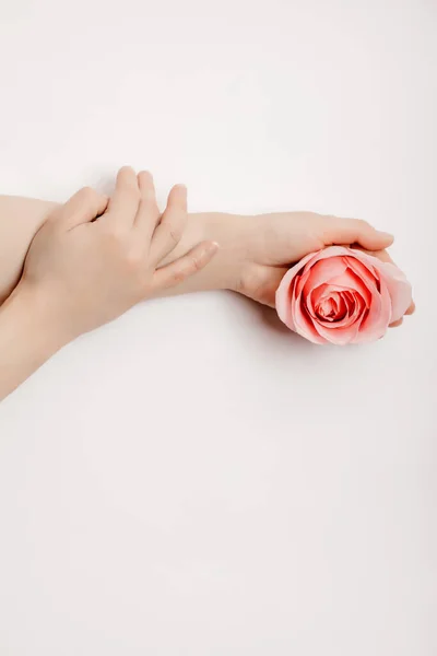 Prachtige handen van een vrouw met een rozenknop op een witte achtergrond. concept van huidverzorging, hydraterende en verminderen van rimpels — Stockfoto