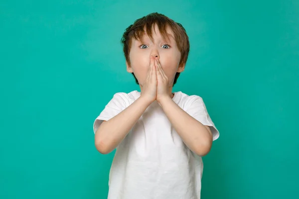 Stylish child of four or five years old and holding his hands to his face he is surprised on a green background. Emotional boy posing for the camera — Stock Photo, Image