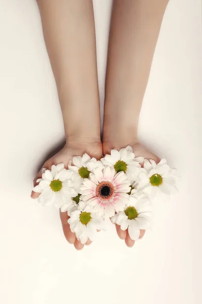 Prachtige handen van een vrouw met een rozenknop op een witte achtergrond. concept van huidverzorging, hydraterende en verminderen van rimpels — Stockfoto