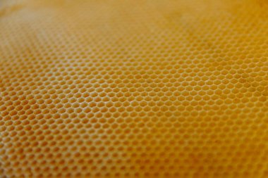 Soyutlama. Boş bal peteği balmumunun arkaplan dokusu. Yumuşak odaklanma. Boşluğu kopyala