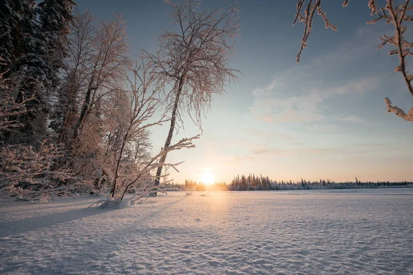 Winterlandschap met bos en blauwe lucht met de ondergaande zon. Roze-paarse tonen. Een bevroren rivier in een winterlandschap.. — Stockfoto