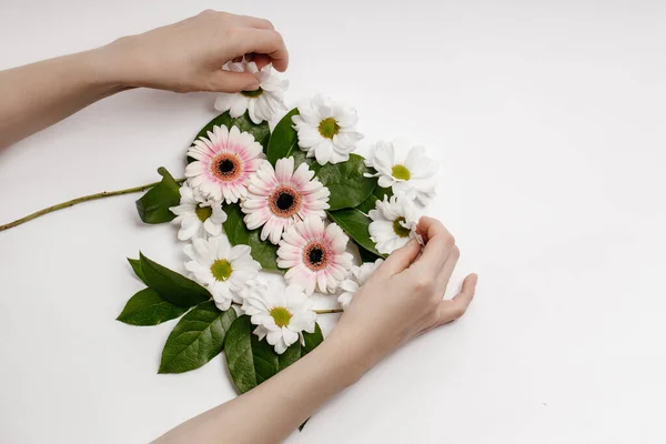 Close-up van mooie verfijnde vrouwelijke handen met roze bloemen op een witte achtergrond. Het concept van handverzorging, bloemisten — Stockfoto